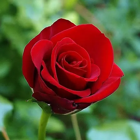 Apartment Dionysos Asprovalta