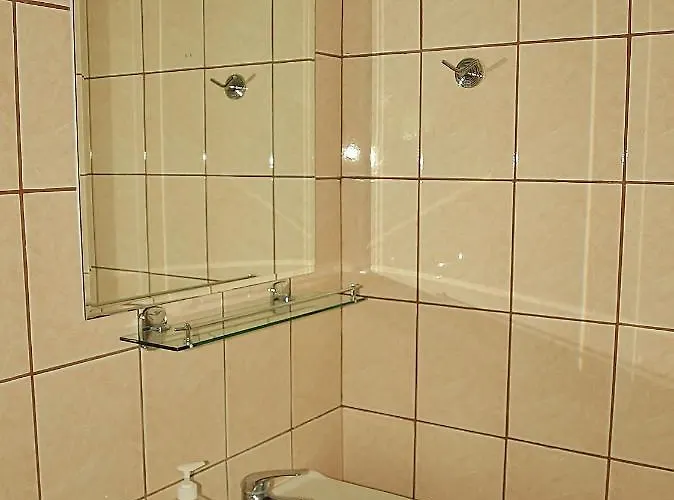 狄俄尼索斯酒店 *