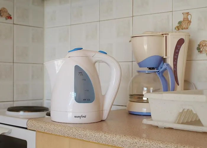 狄俄尼索斯酒店 公寓 *