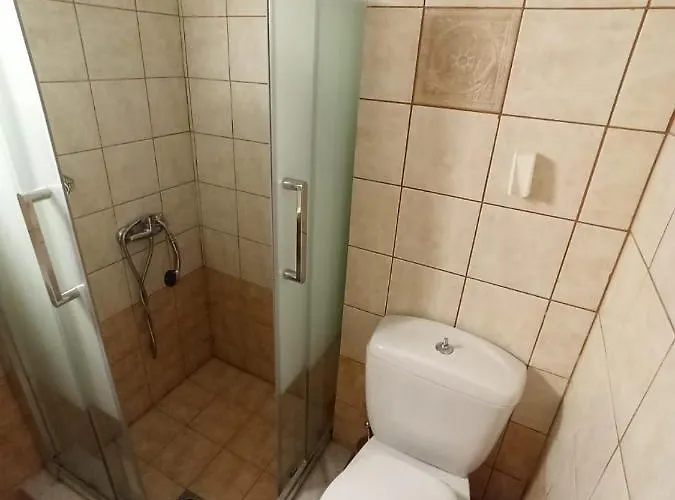 狄俄尼索斯酒店 *