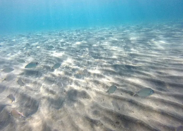 狄俄尼索斯酒店